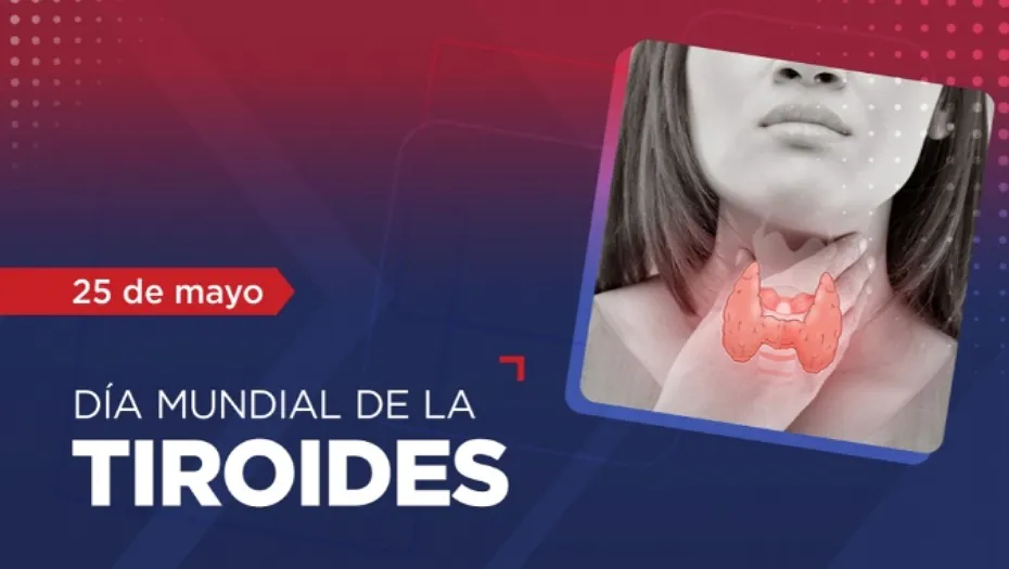 IMG_20240524_145743_(930_x_525_píxel)