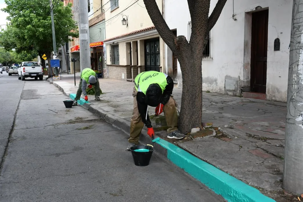 cuadras verdes salta