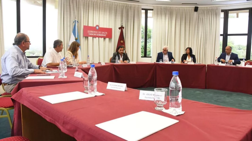 SÁENZ GABINETE CAMACHO