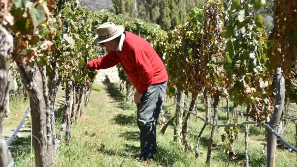 IMG_20250206_171034_(1200_x_675_píxel)