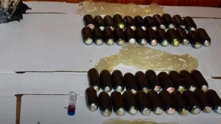 IMG_20241118_175048_(930_x_525_píxel)