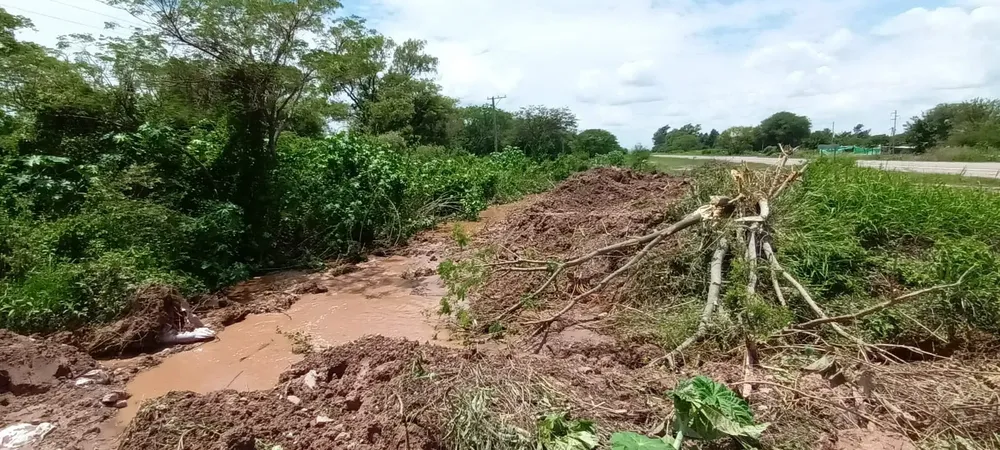 WhatsApp Image 2026-02-08 at 20.04.17 (2)