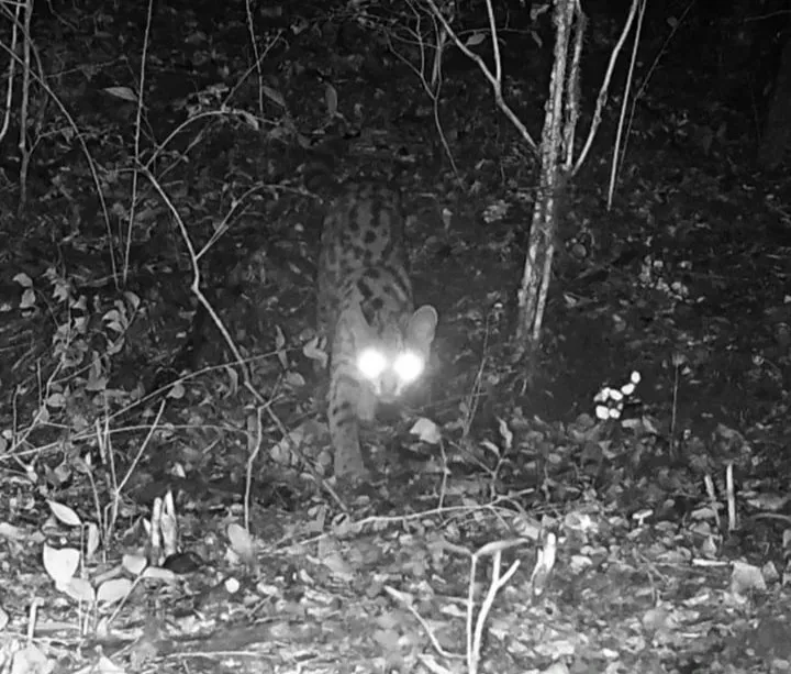 456514285_2600359796833723_5344609296041749538_n