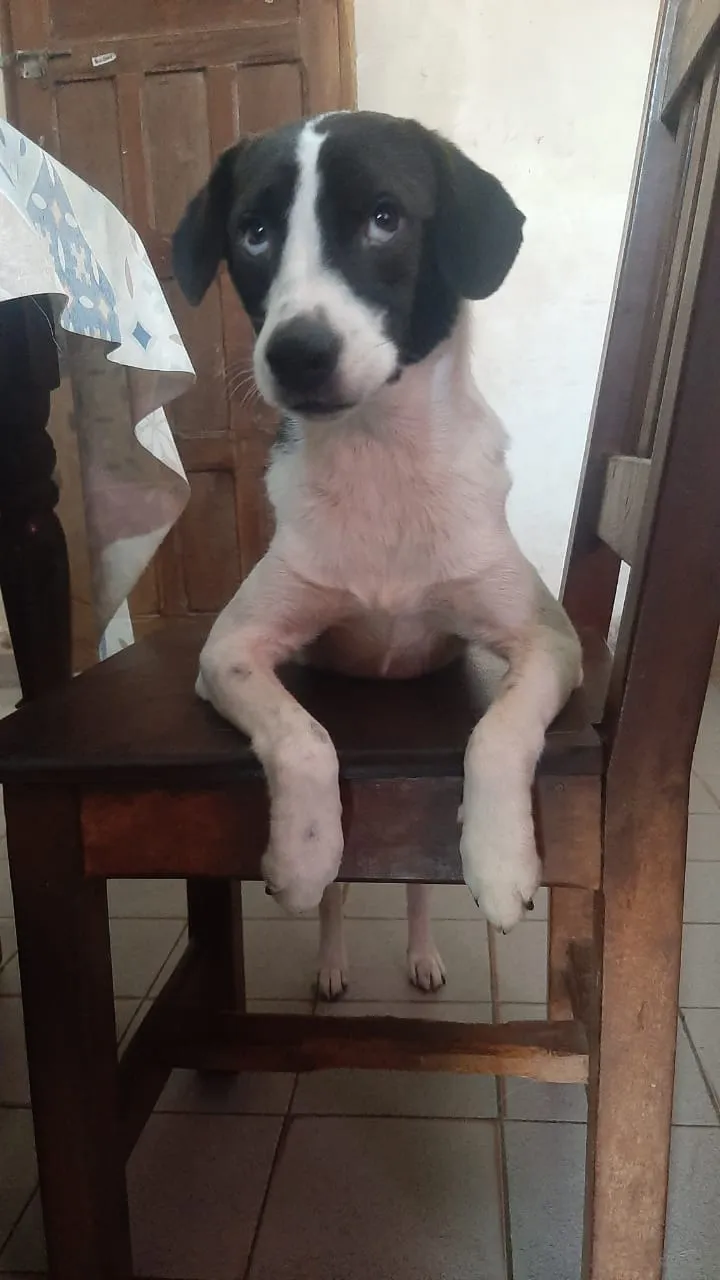 a8fc04b075994aefb39647e114588fa3