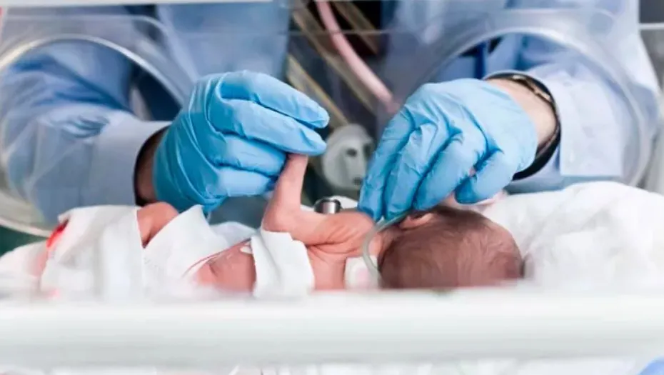 IMG_20241115_173238_(930_x_525_píxel)