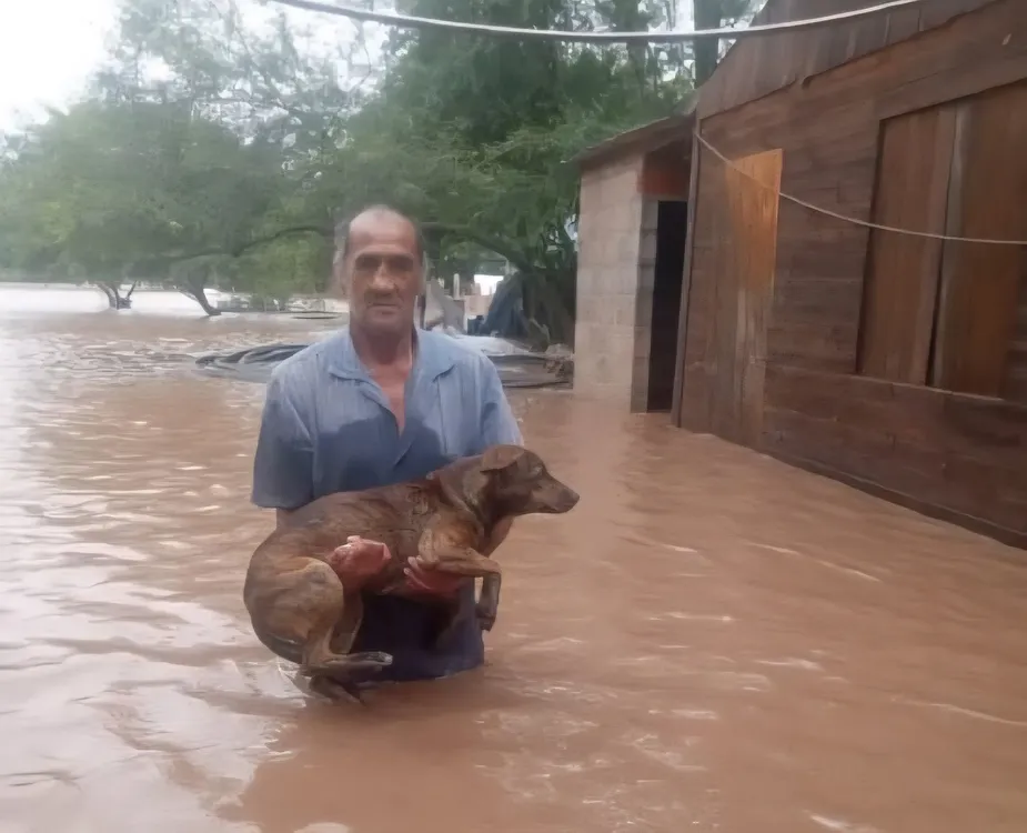 4b7e6e8a9dcc4cf5bec41cb2016f85db