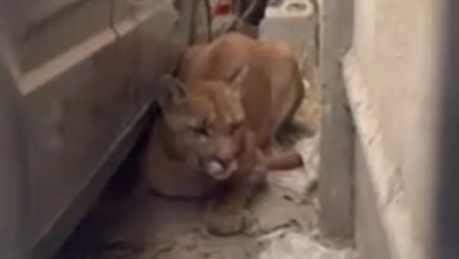 IMG_20240523_171900_(930_x_525_píxel)