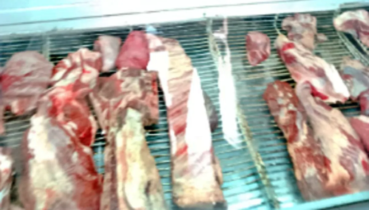 Carne