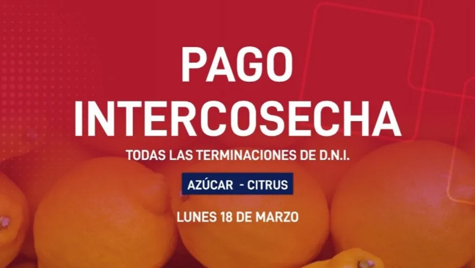 IMG_20240315_193620_(930_x_525_píxel)