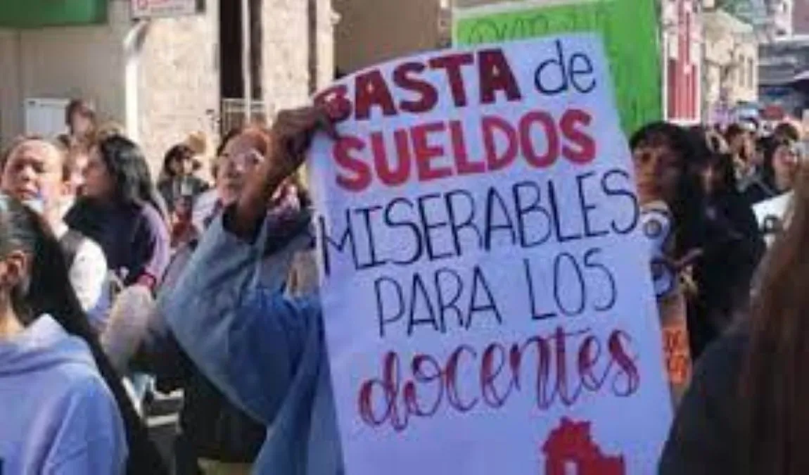 docentes