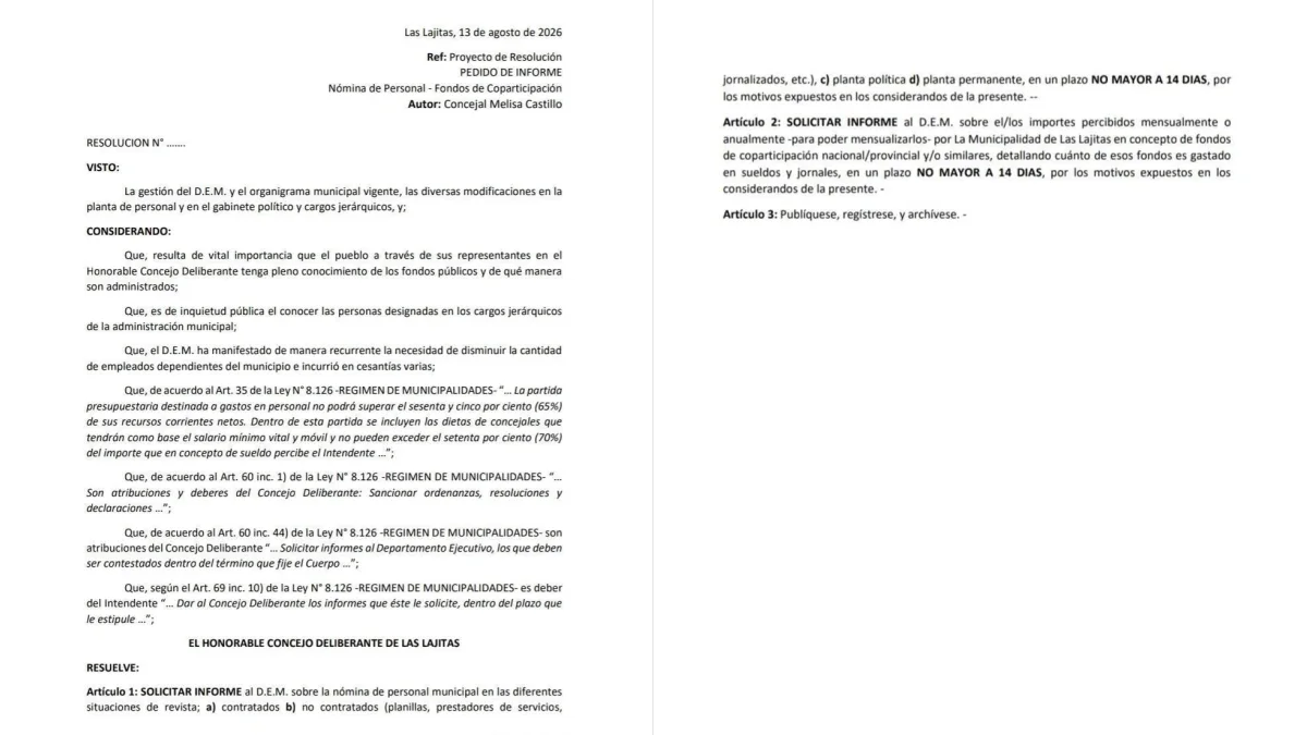 pedido informe