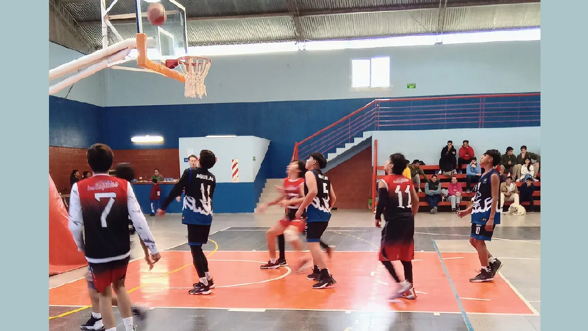 Basquet