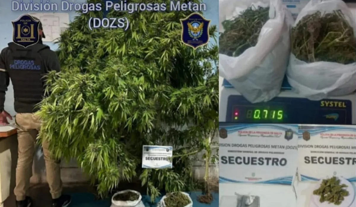 Drogas Peligrosas