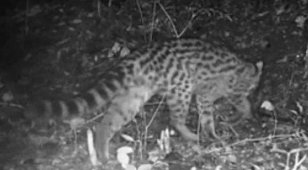 456377306_2600359866833716_7358024068867281790_n