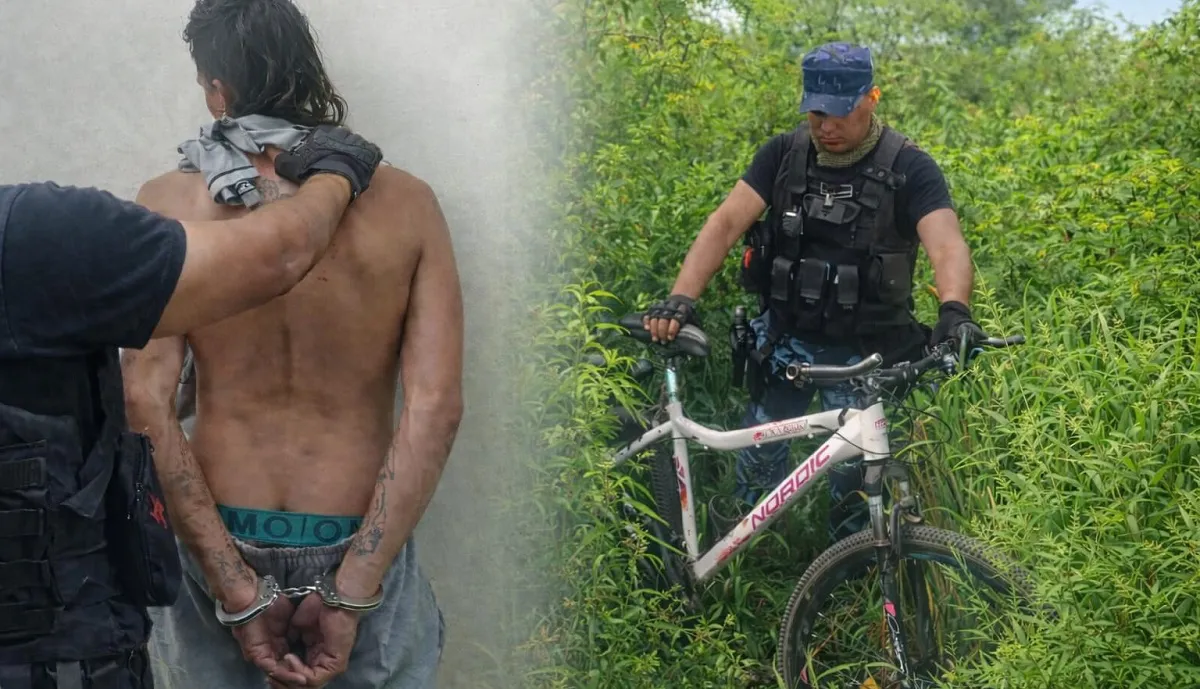 WhatsApp Image 2026-01-26 at 12.09.50