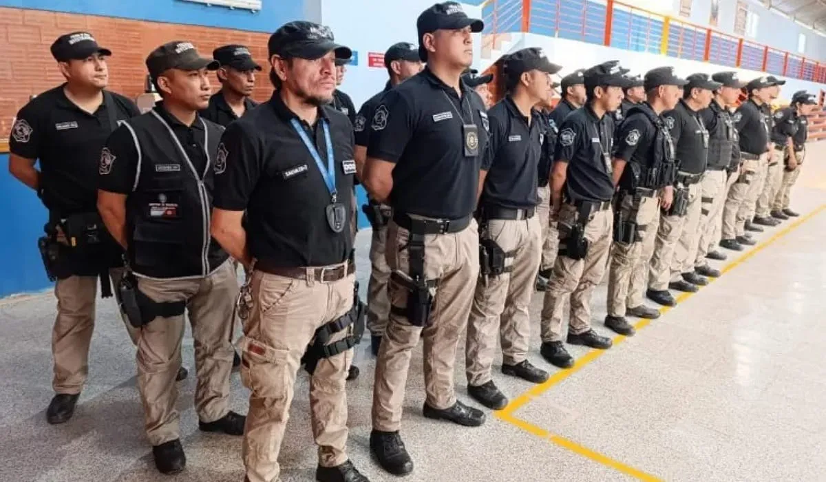 Fuerza de seguridad