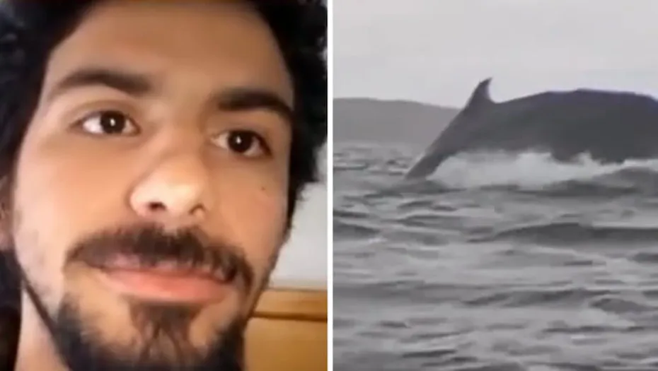 IMG_20250213_123842_(930_x_525_píxel)