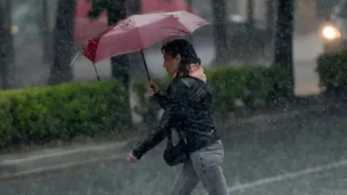 IMG_20251128_170721_(1200_x_675_píxel)