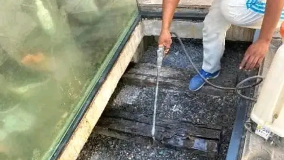 IMG_20241029_155346_(930_x_525_píxel)