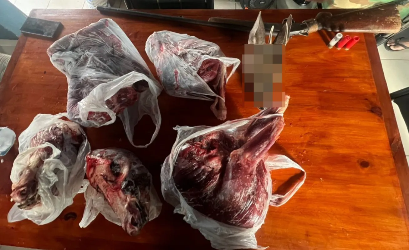 Carne