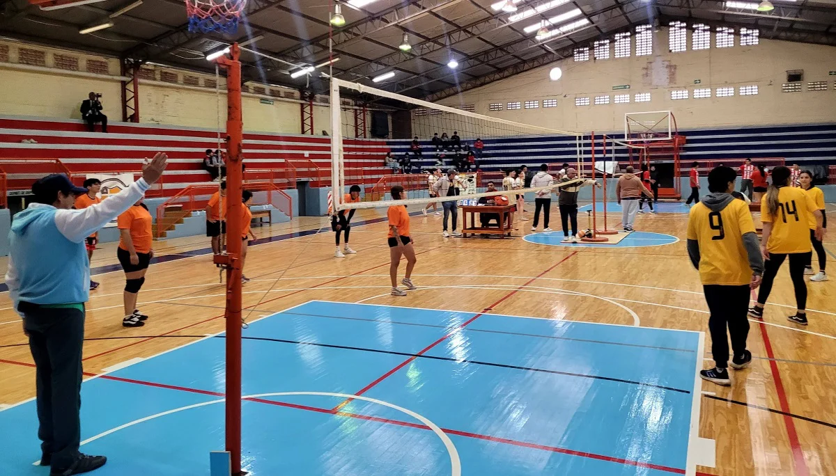 voley
