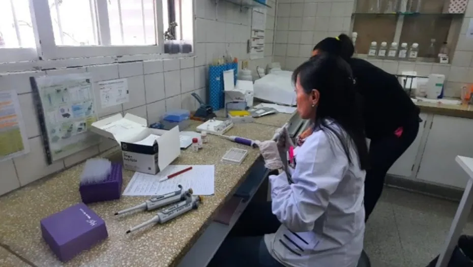 IMG_20240614_220022_(930_x_525_píxel)