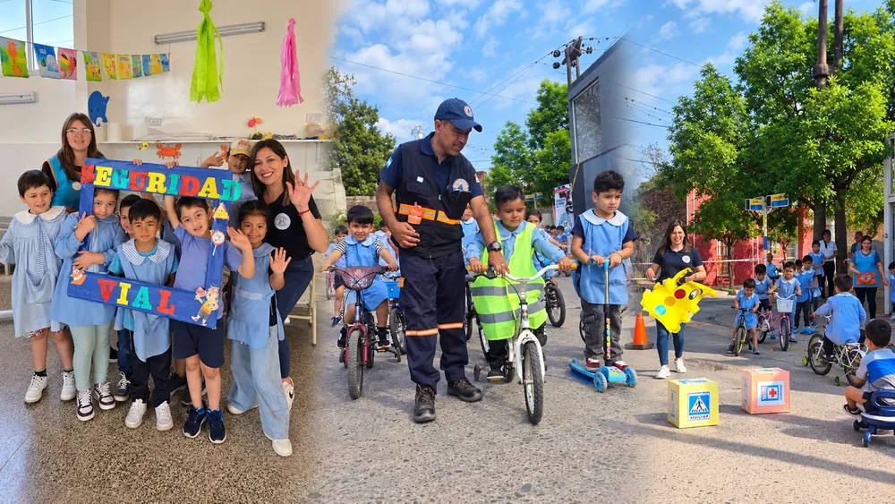 Seguridad vial