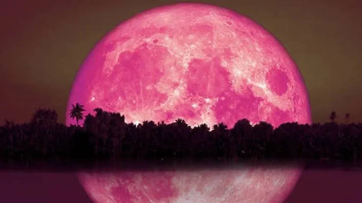 LUNA DE FRESA