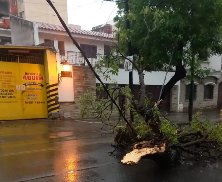 lluvias capital