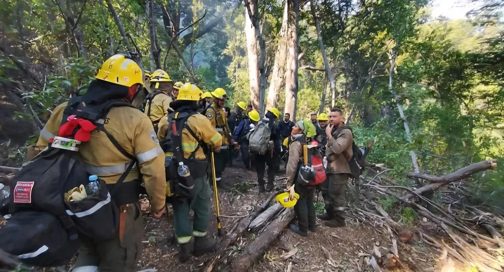 Screenshot_20260131_202510_Chrome