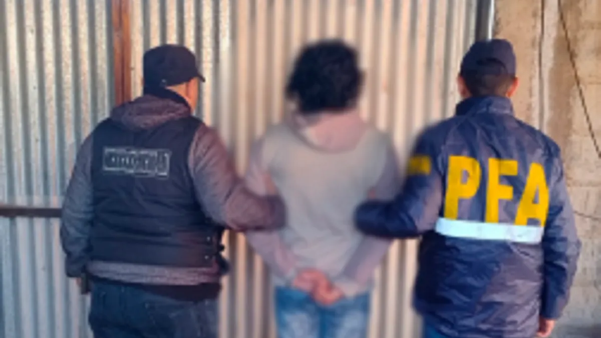 Detenido