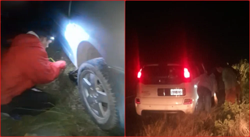 Bache Ruta 16