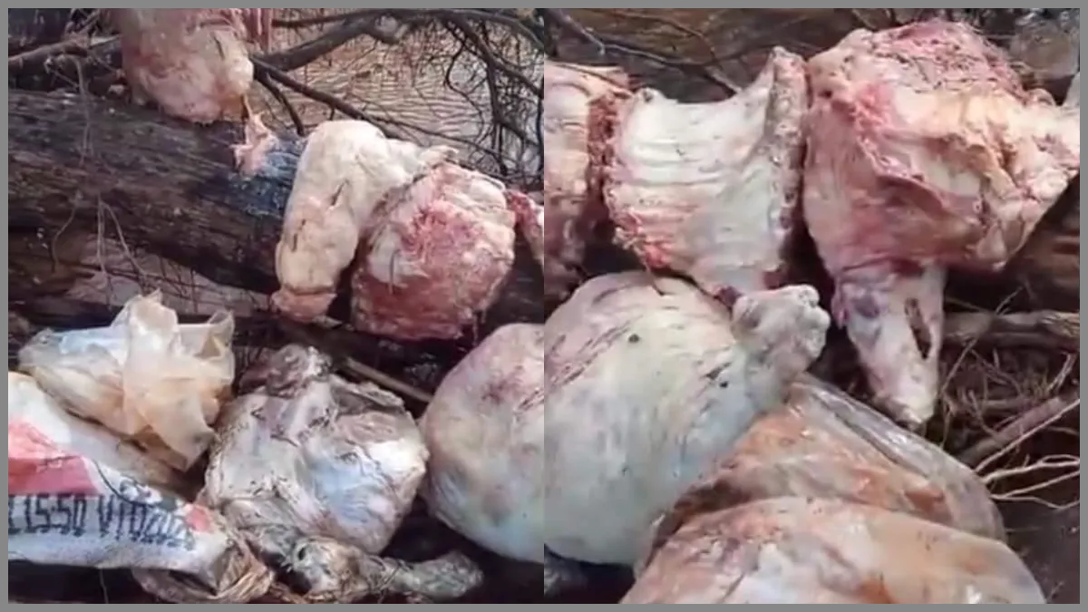 Ola de abigeato en Apolinario Saravia