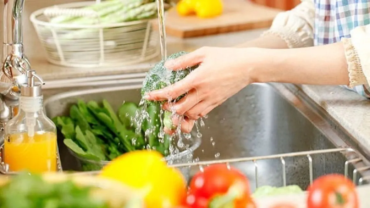 Prevención Salmonella