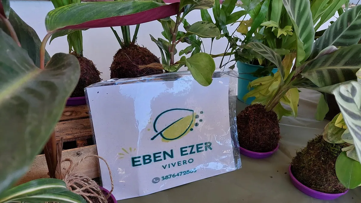 Eben Ezer Vivero