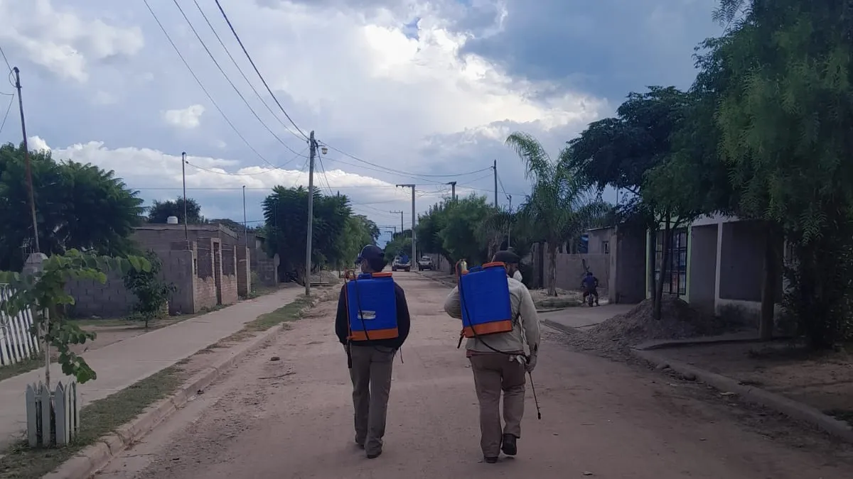 trabajos de fumigación