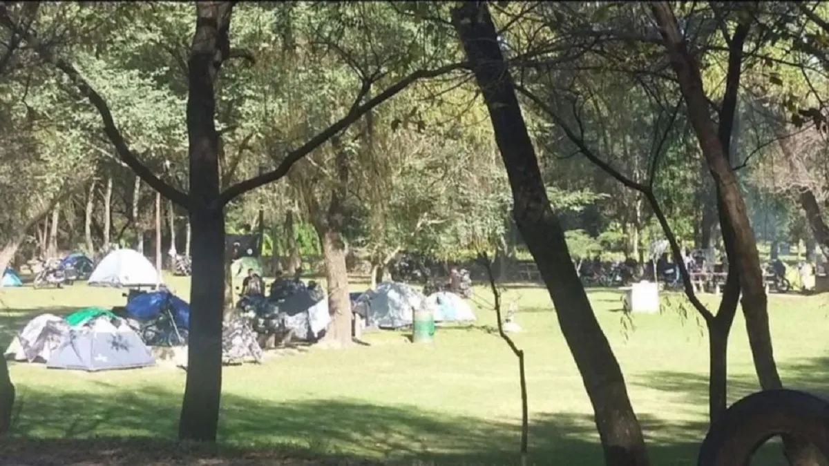 Camping San Nicolás