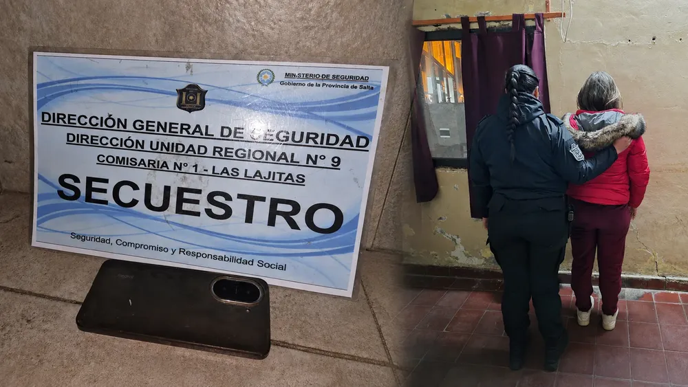 Robo celu lajitas