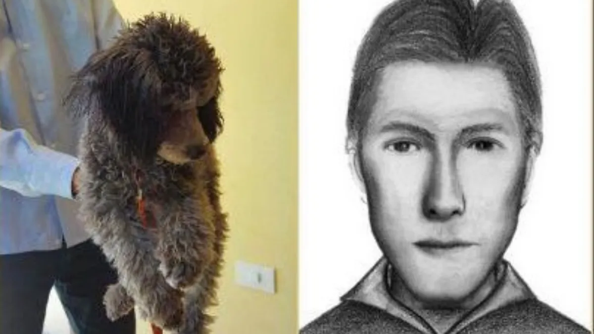 Javire Saavedra - homicida