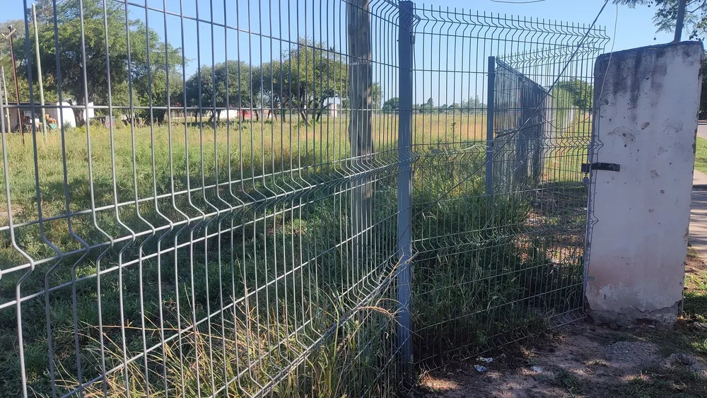 475674979_1342763913579792_1203197823471057281_n