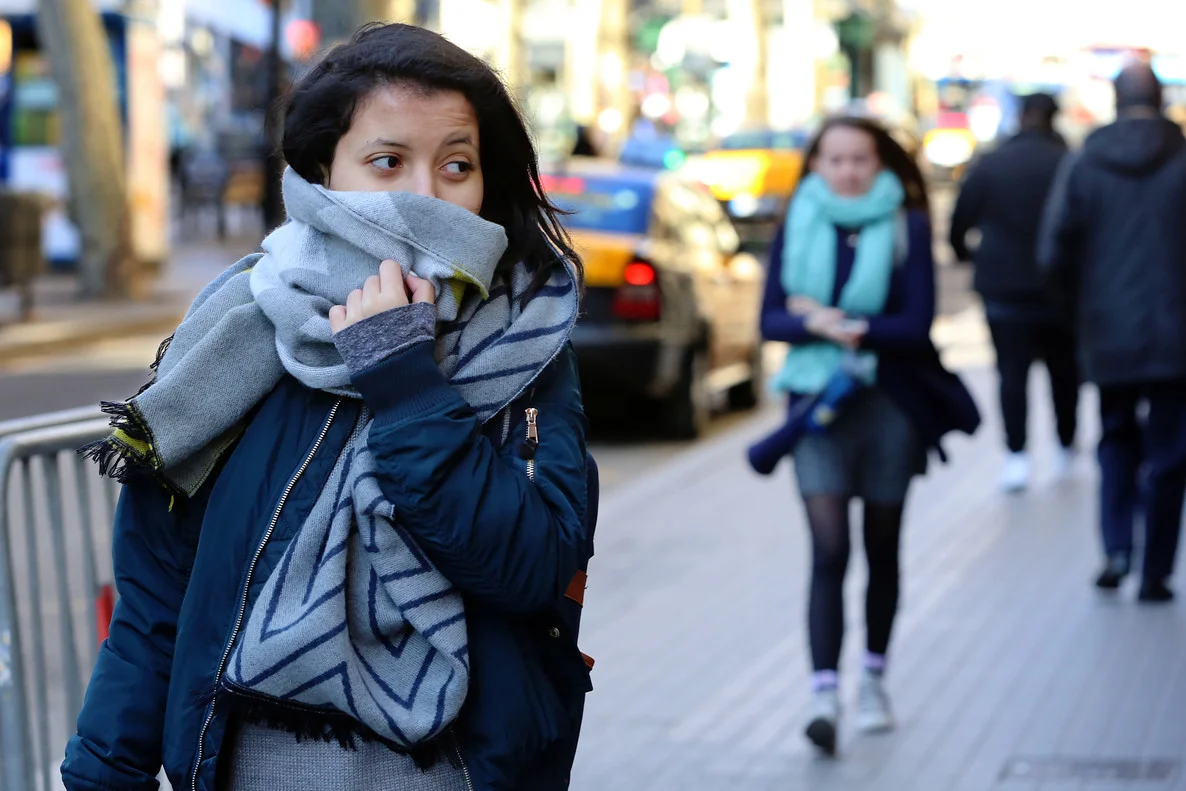Frío invierno