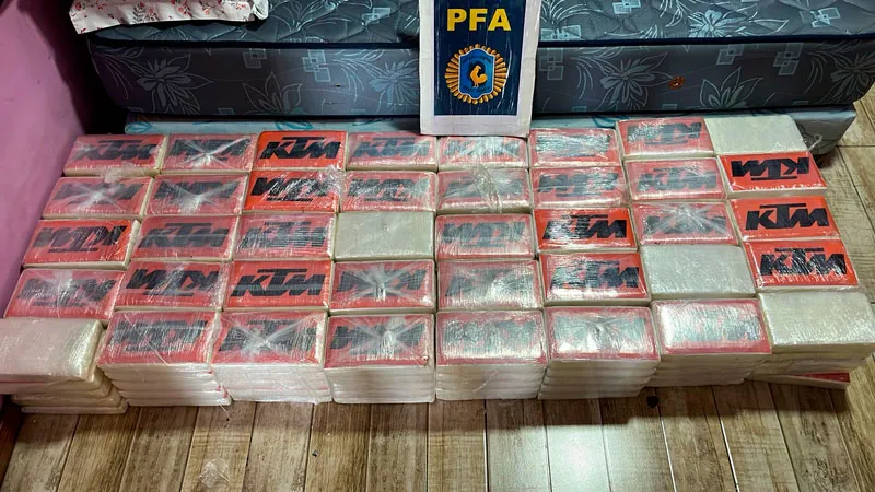 el-dfi-de-la-pfa-incauto-mas-de-280-kilos-de-cocaina-en-el-amba-4