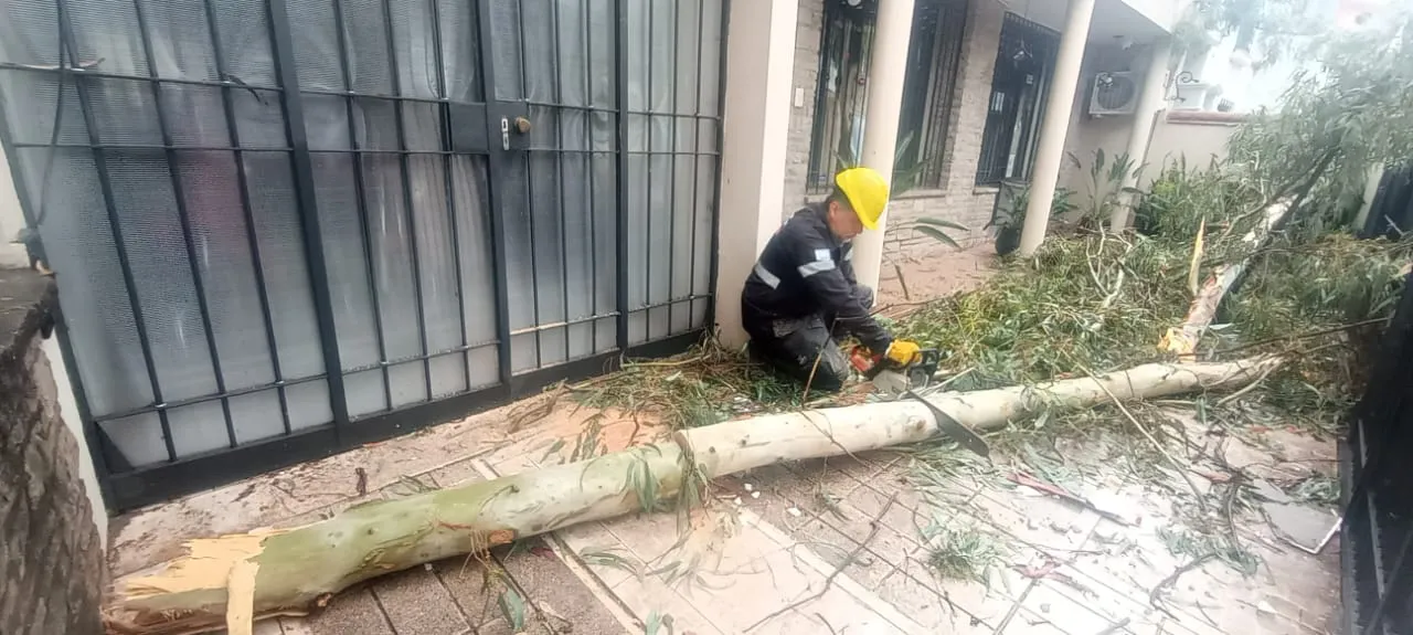 WhatsApp Image 2026-01-02 at 18.22.40