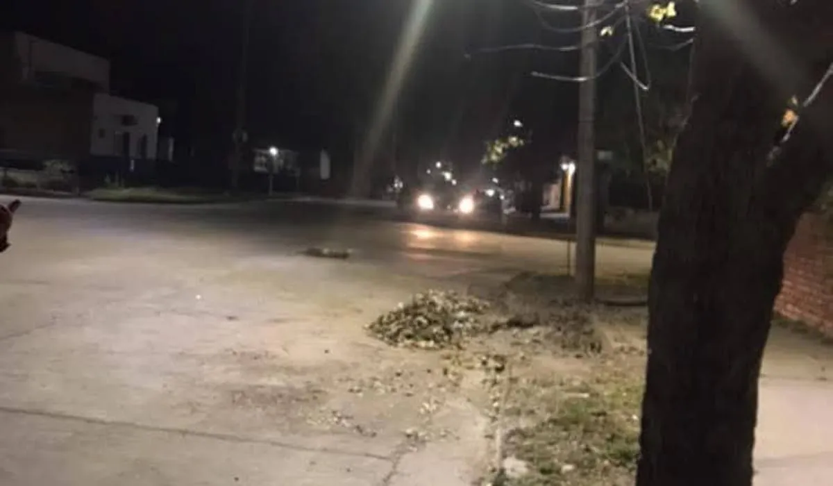 Rosario - intento robo