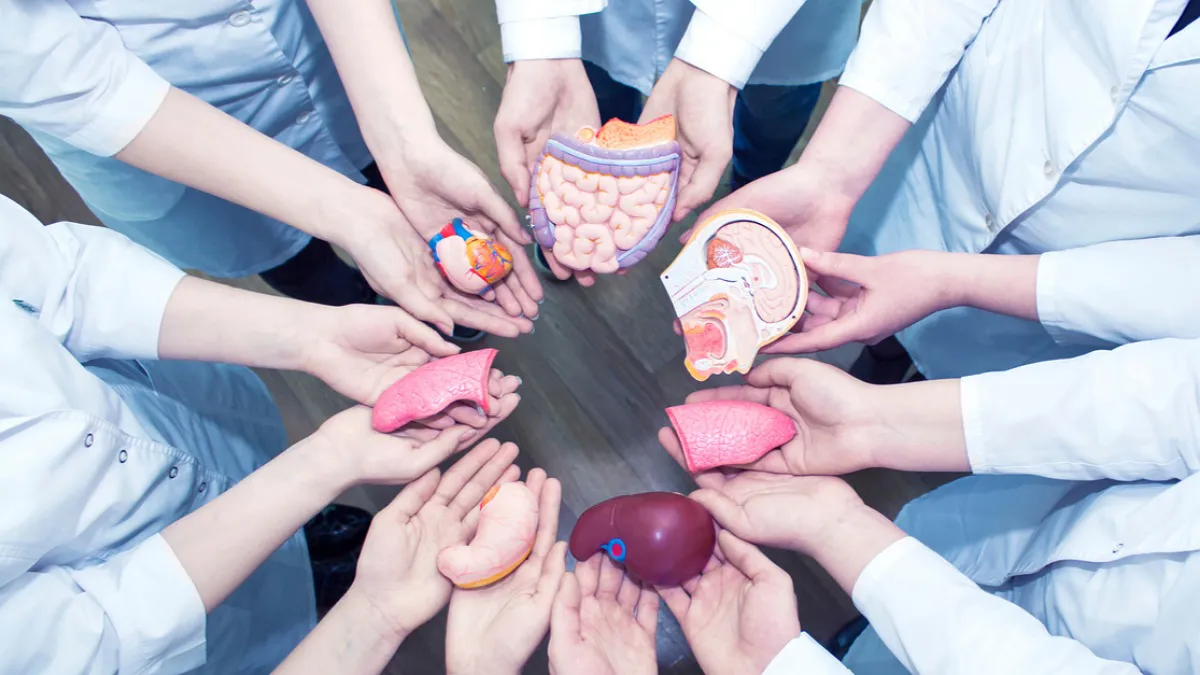 IMG_20250905_163802_(1200_x_675_píxel)