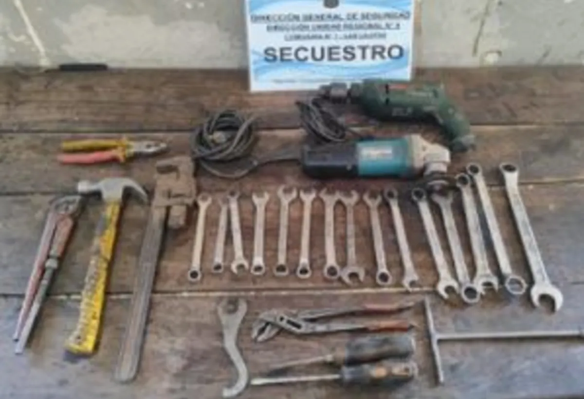 Robo Lajitas