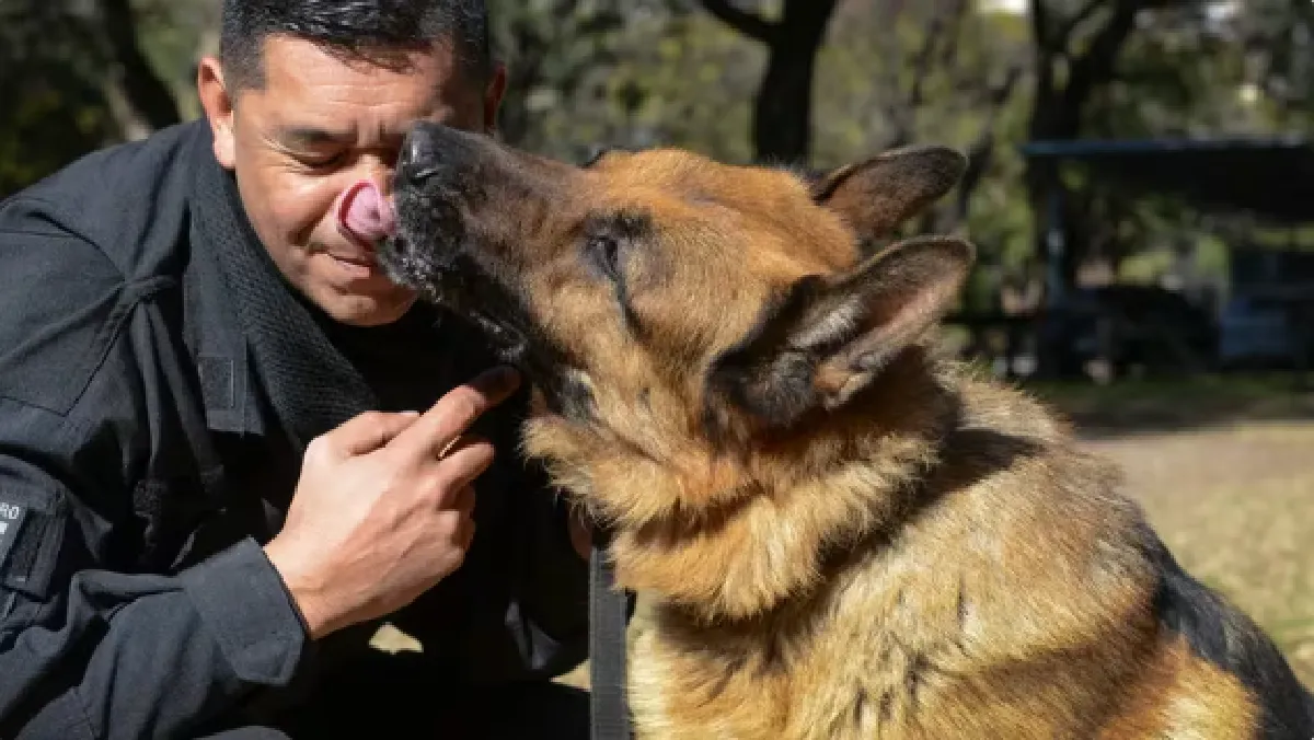 Perro policía