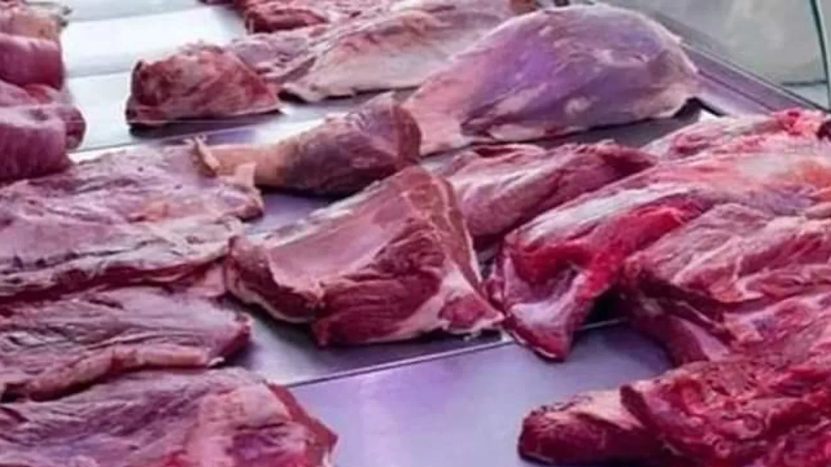 IMG_20230804_224235_(1200_x_675_píxel)