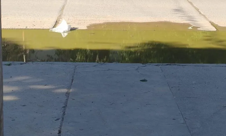 494027865_2826279290908438_6591265490551749169_n-780x470