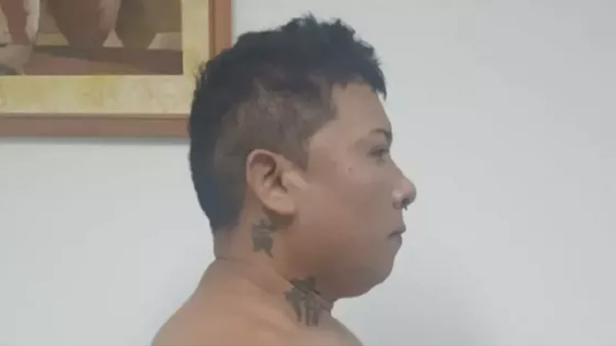Perfil